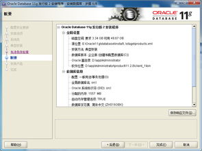 Oracle 11g數(shù)據(jù)庫(kù)11.2.0.1.0官方版下載指南及極光下載站簡(jiǎn)介