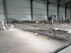 國內知名紅薯粉皮加工設備選購指南 廠家、價格與銷售熱線